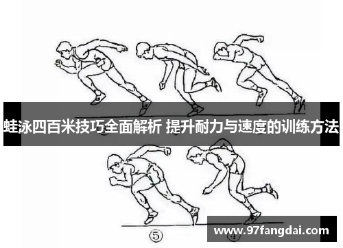 蛙泳四百米技巧全面解析 提升耐力与速度的训练方法