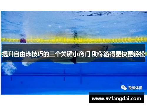 提升自由泳技巧的三个关键小窍门 助你游得更快更轻松